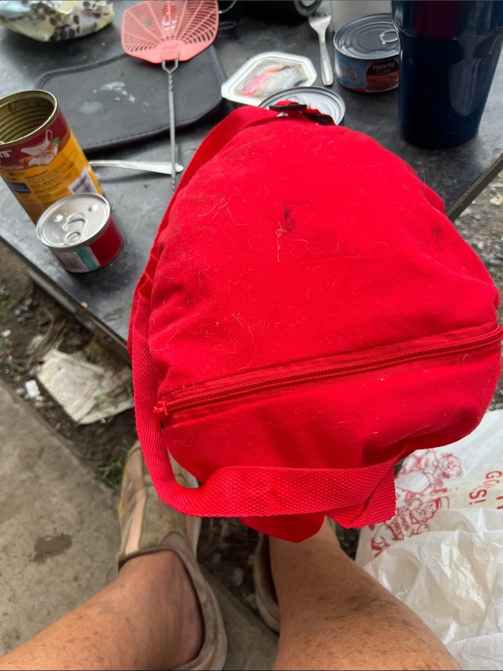 Backpack